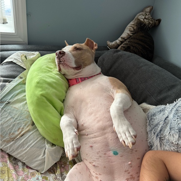 Meet your Posher, Luke - Picture 3 of 10